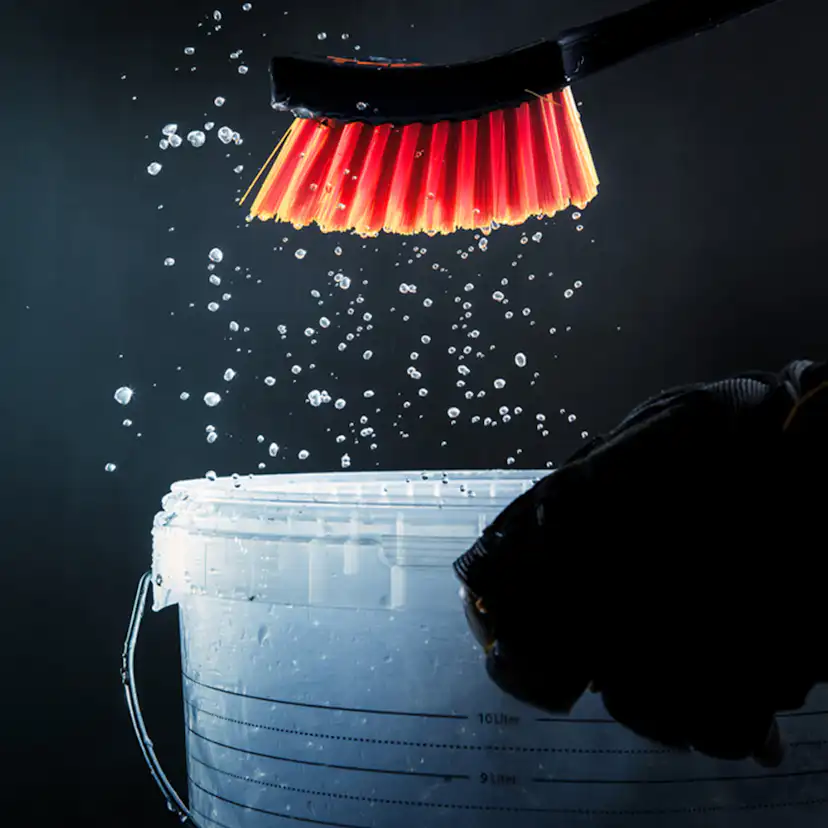 Hinkborste Tebo Strong