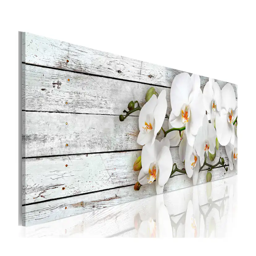Tavla Arkiio White Dreams