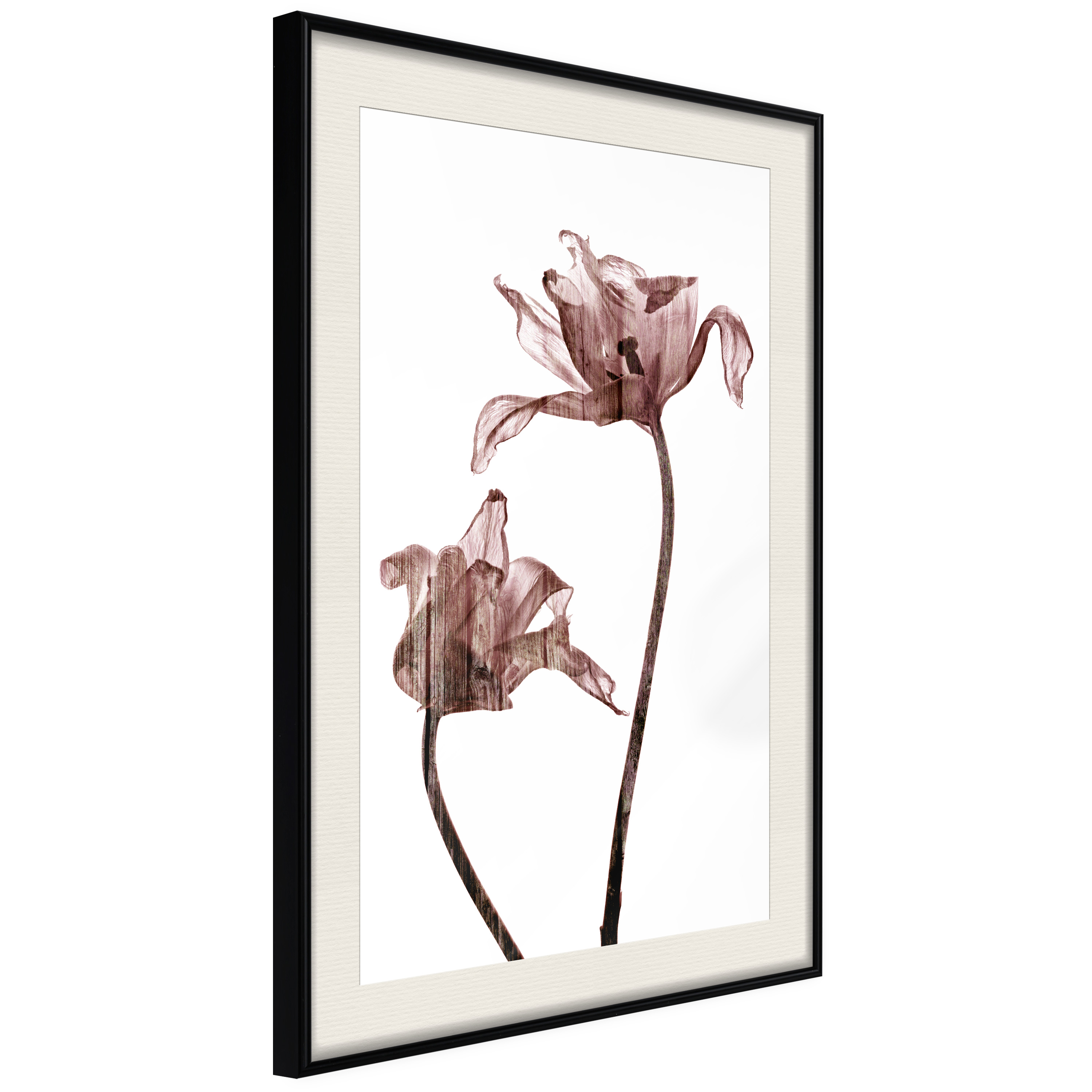 Affisch - Illuminated Closeness [Poster] 40x60 Svart ram med passepartout, 40x60 cm