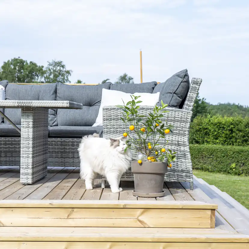 Hörnsoffa Venture Home London Utomhus Utomhus