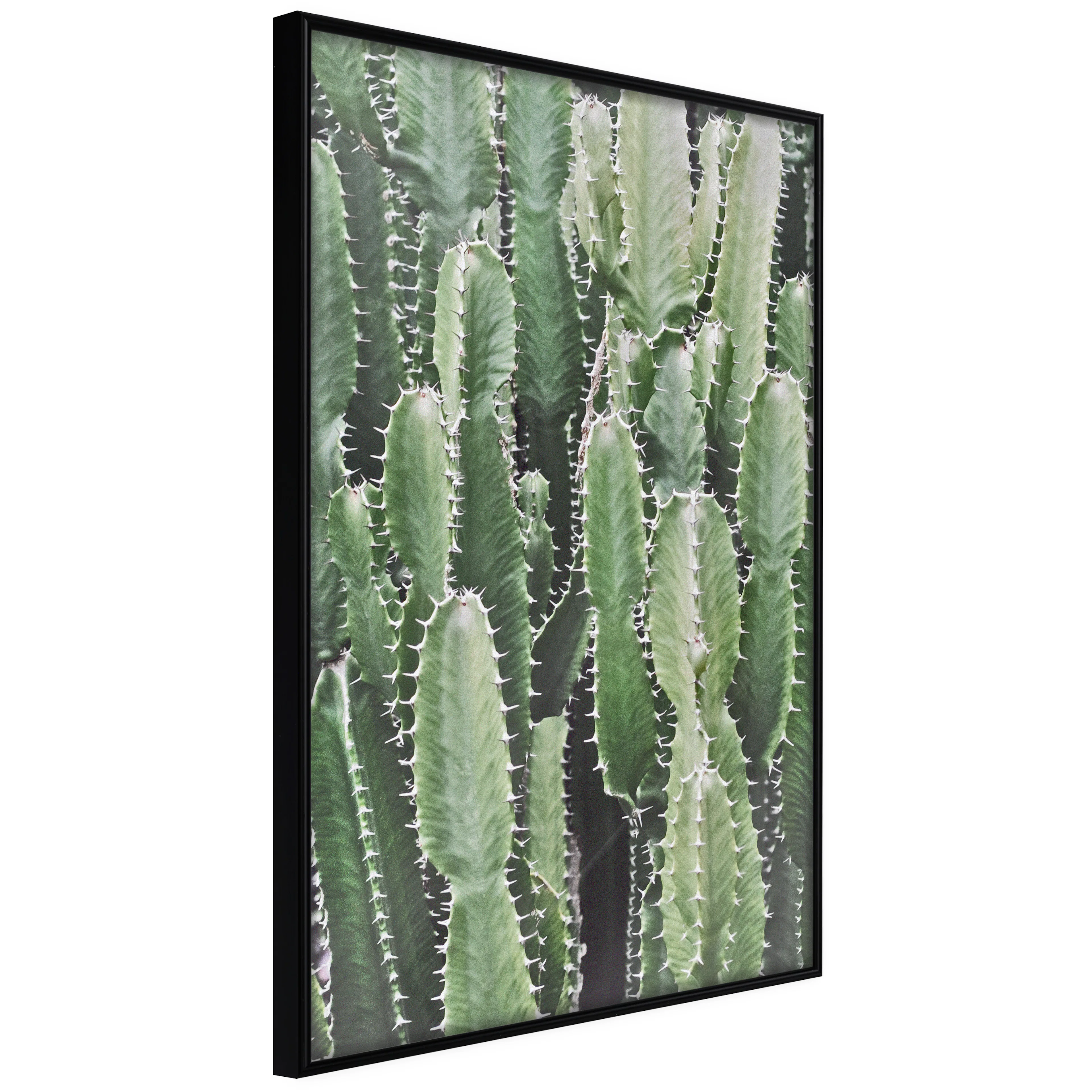 Affisch - Cactus Garden [Poster] 40x60 Svart ram, 40x60 cm