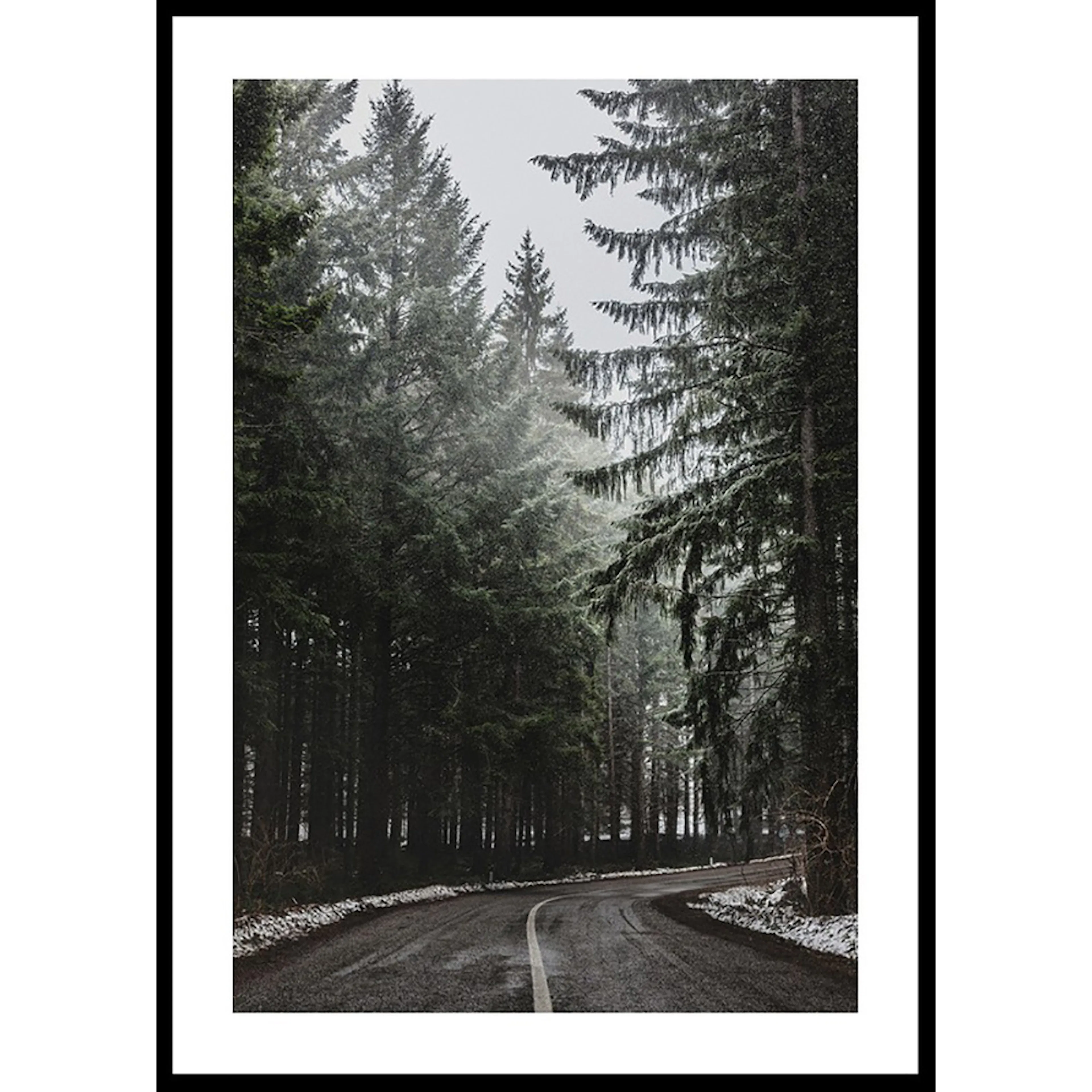 Poster Gallerix Deep Forest Road