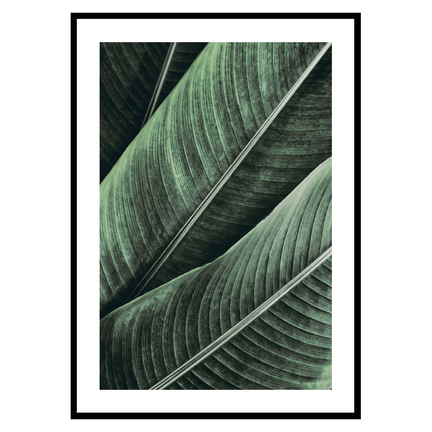 Poster Gallerix Banana Leaves No1