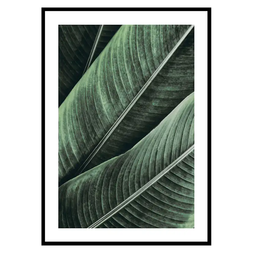 Poster Gallerix Banana Leaves No1
