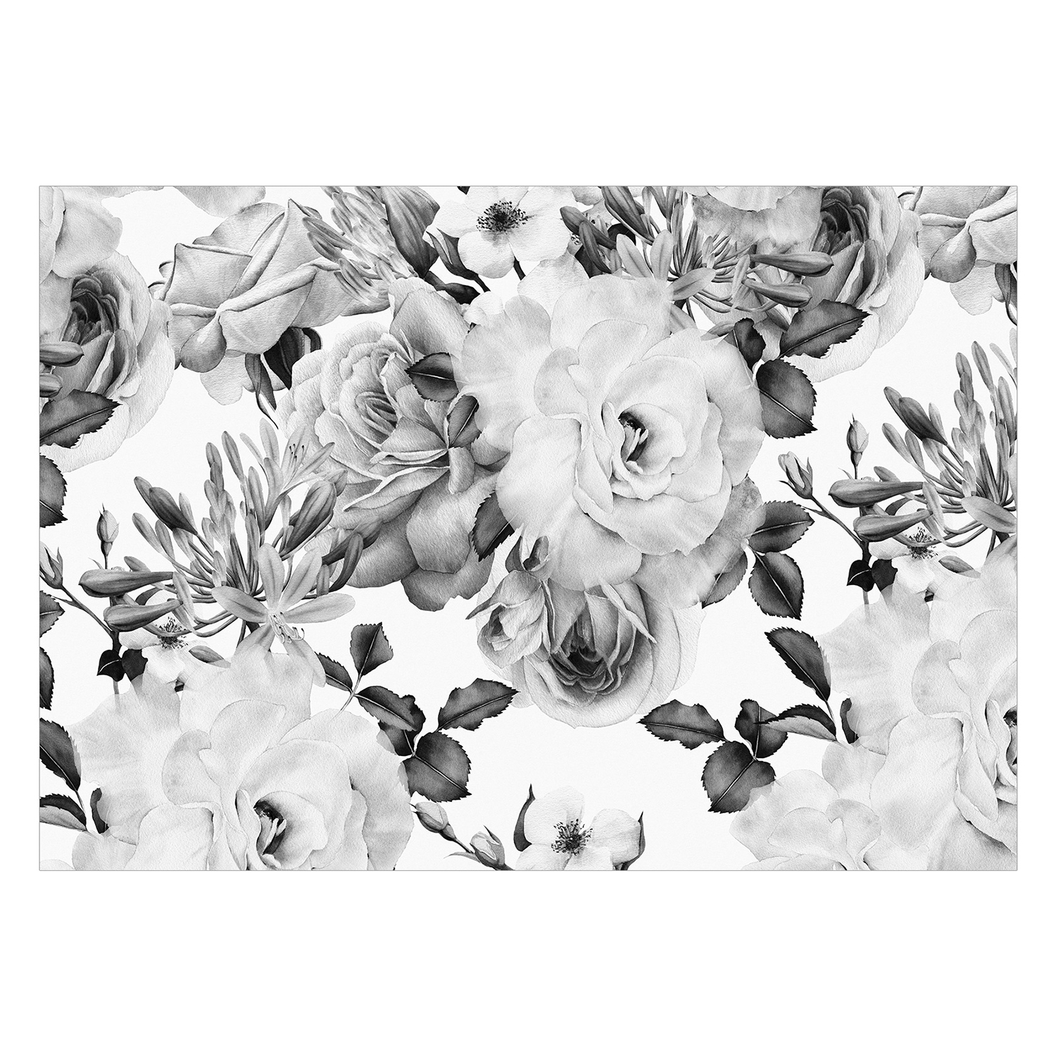 Fototapet Arkiio Sentimental Garden Svart/Vit