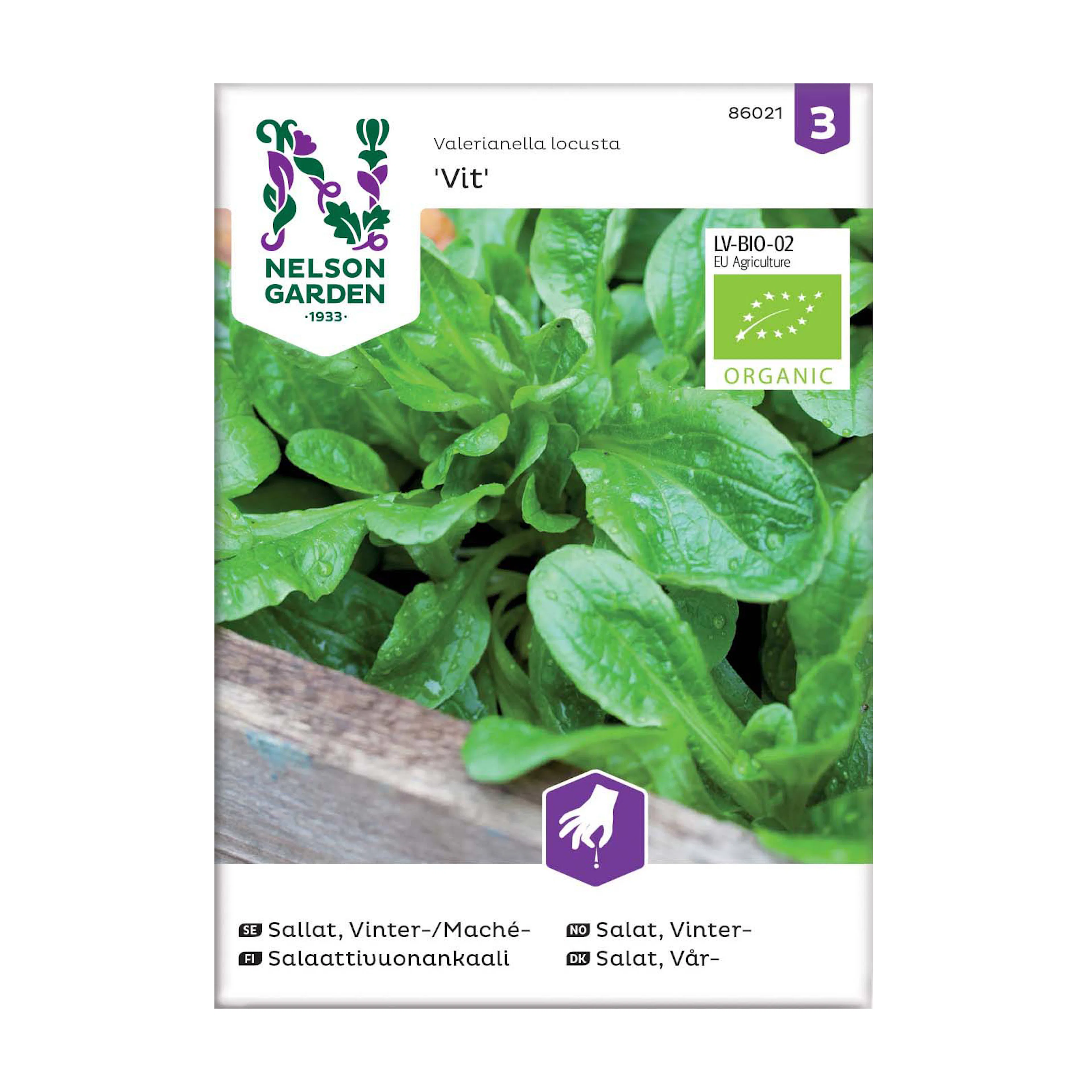 Frö Vintersallat Nelson Garden Mâche Vit Organic