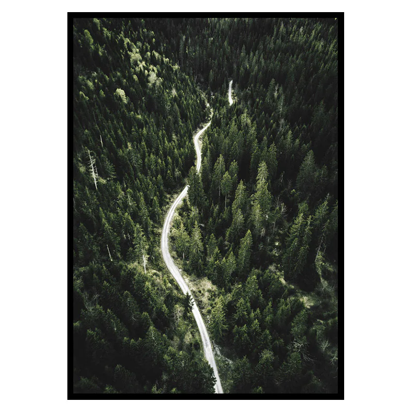 Poster Gallerix Coniferous Forest