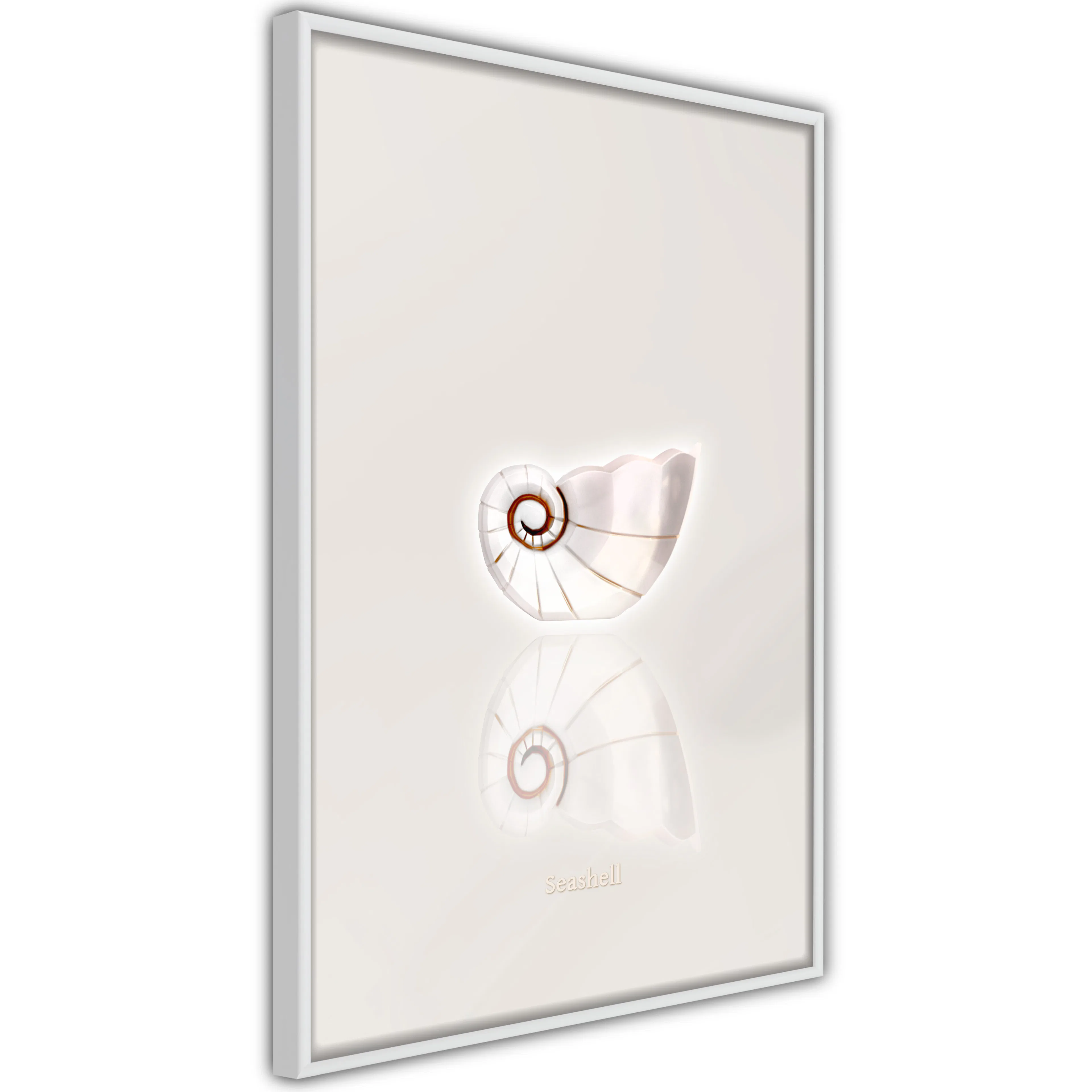 Poster Artgeist Affisch Ceramic Shell