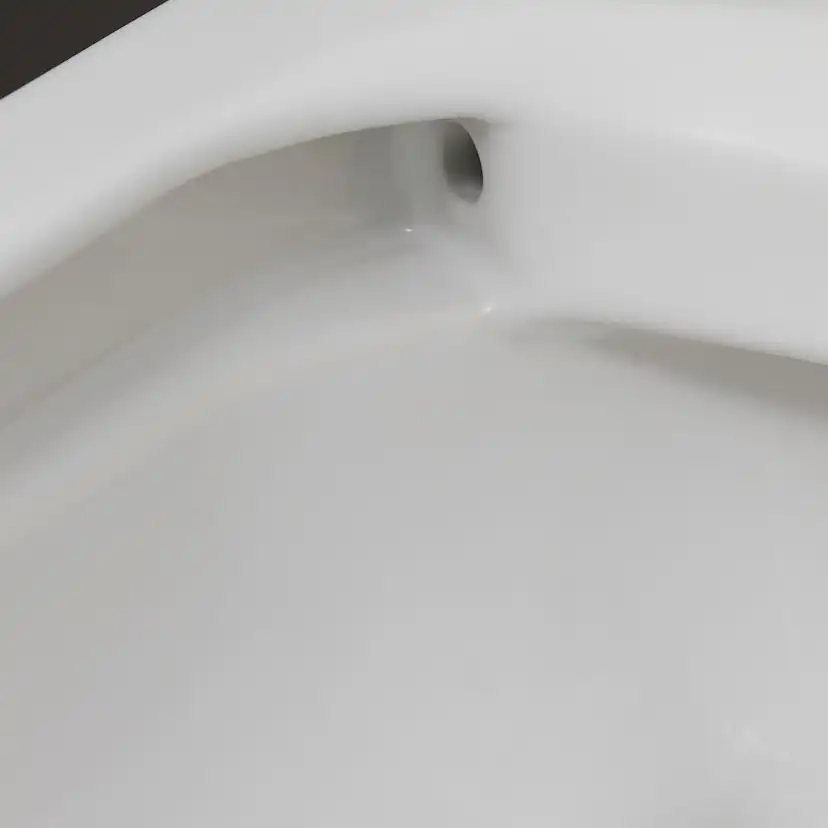 Vägghängd Toalettstol Duravit No.1