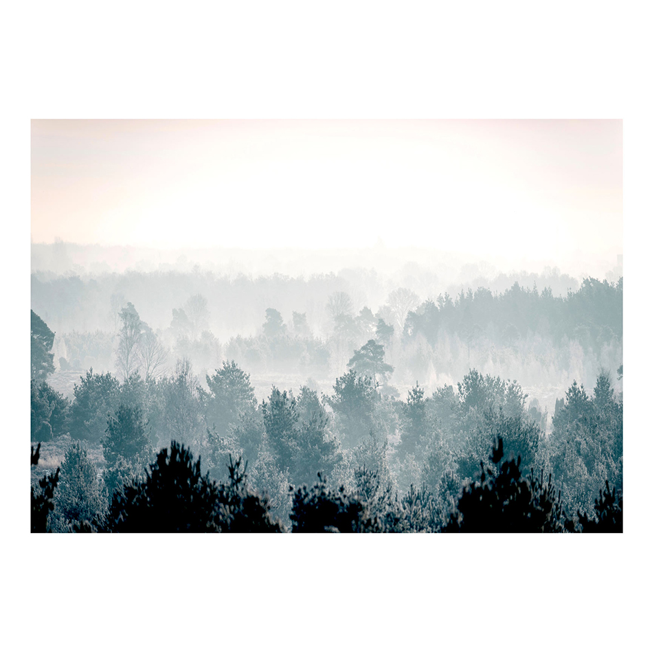 Fototapet Arkiio Winter Forest