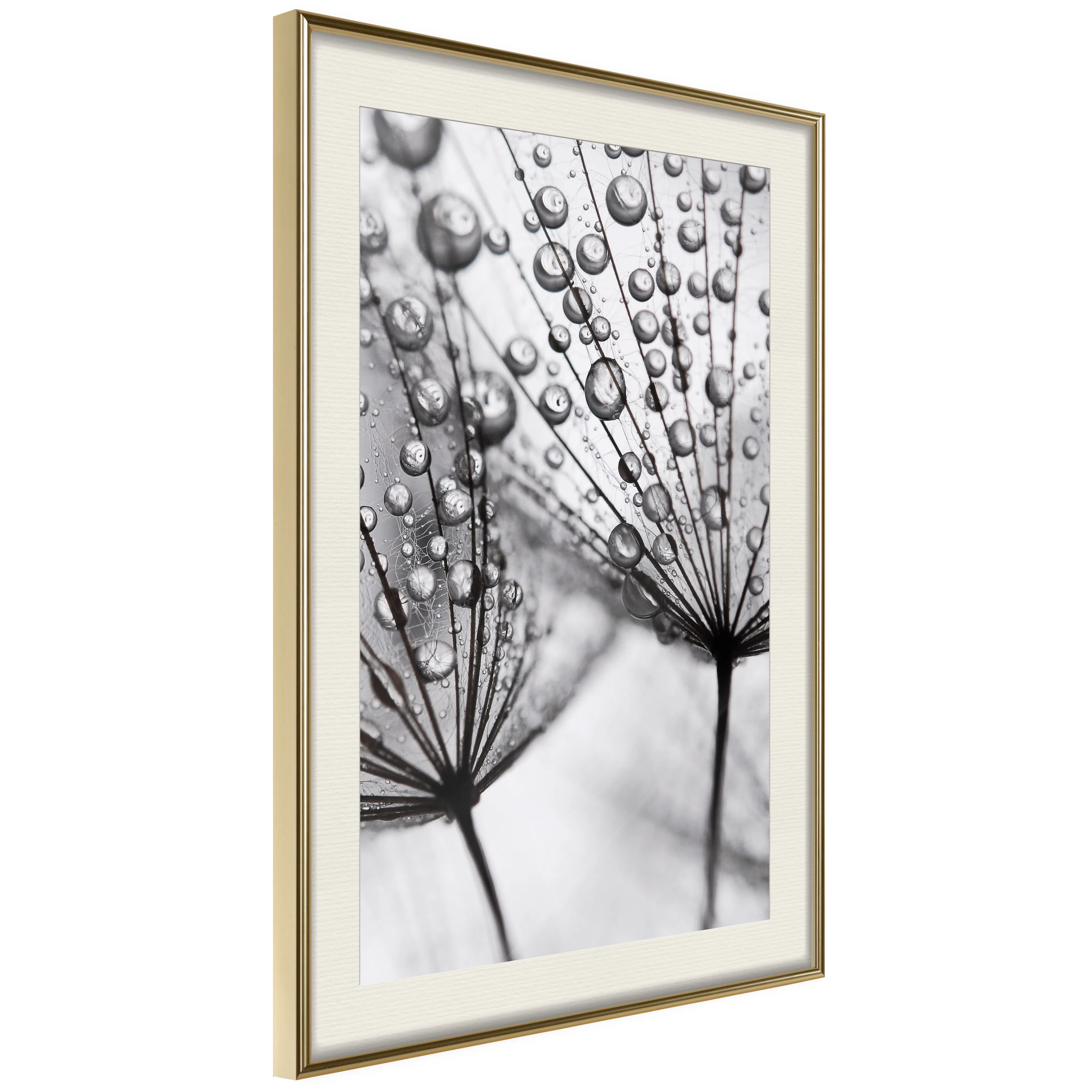 Poster Artgeist Affisch Morning Dew