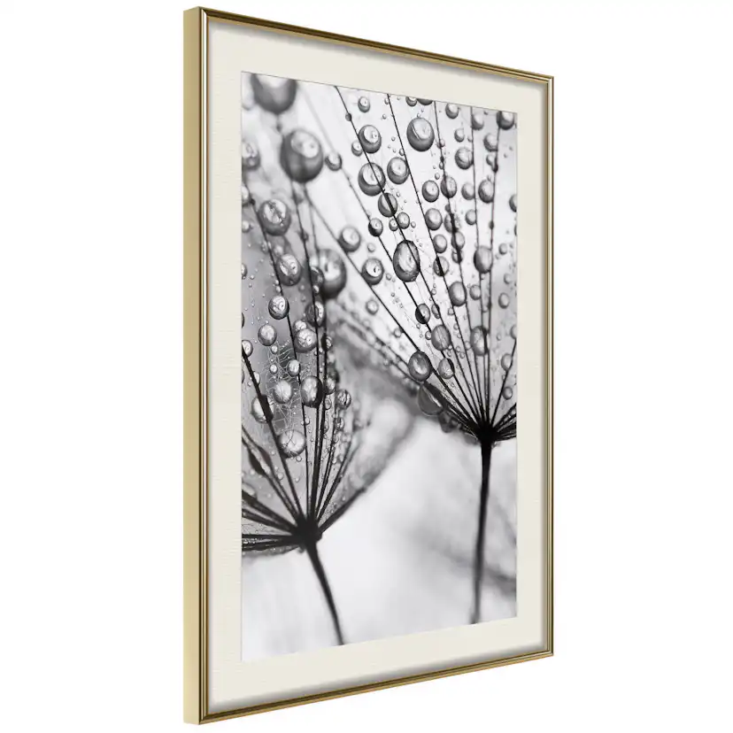 Poster Artgeist Affisch Morning Dew