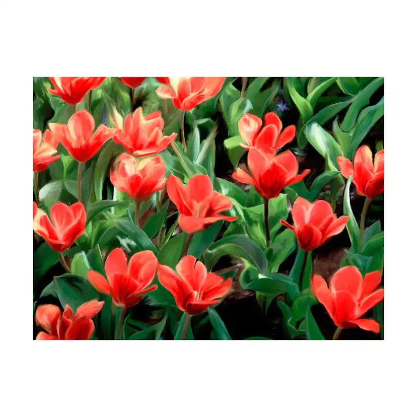 Fototapet Arkiio Painted Flowers