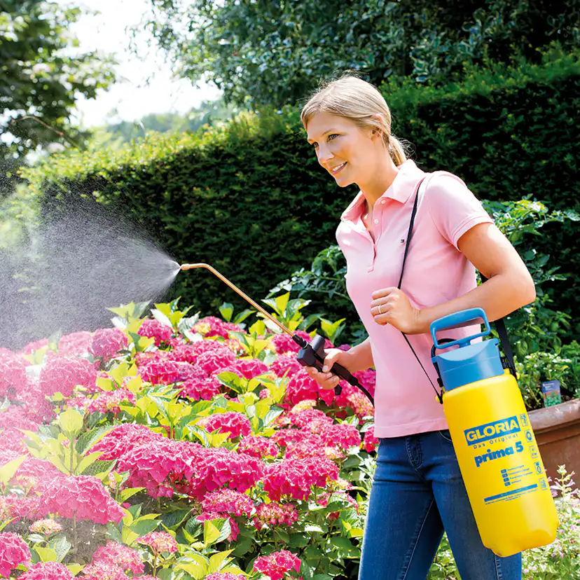 Tryckspruta Gloria Prima 5