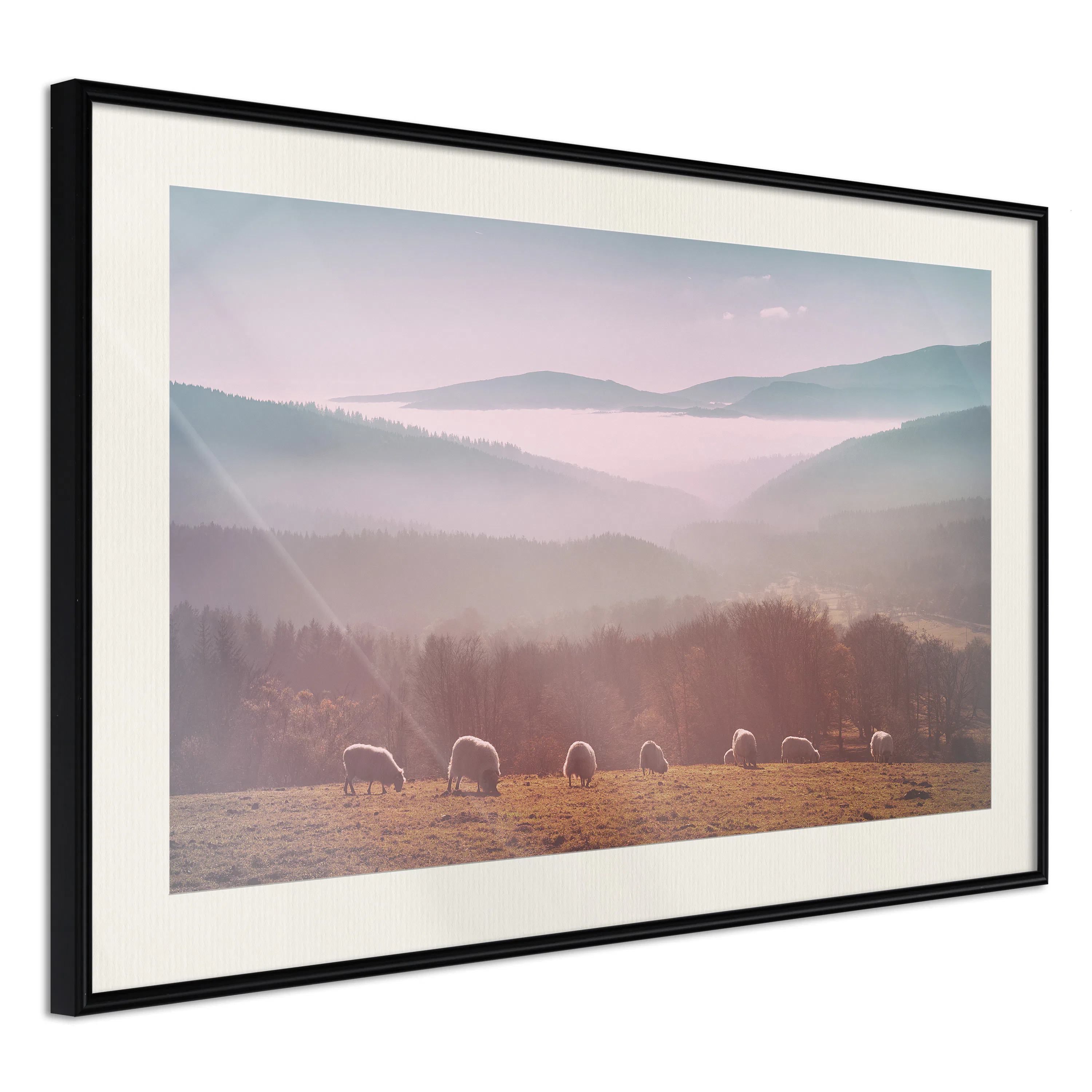 Poster Artgeist Affisch Flock of Sheep