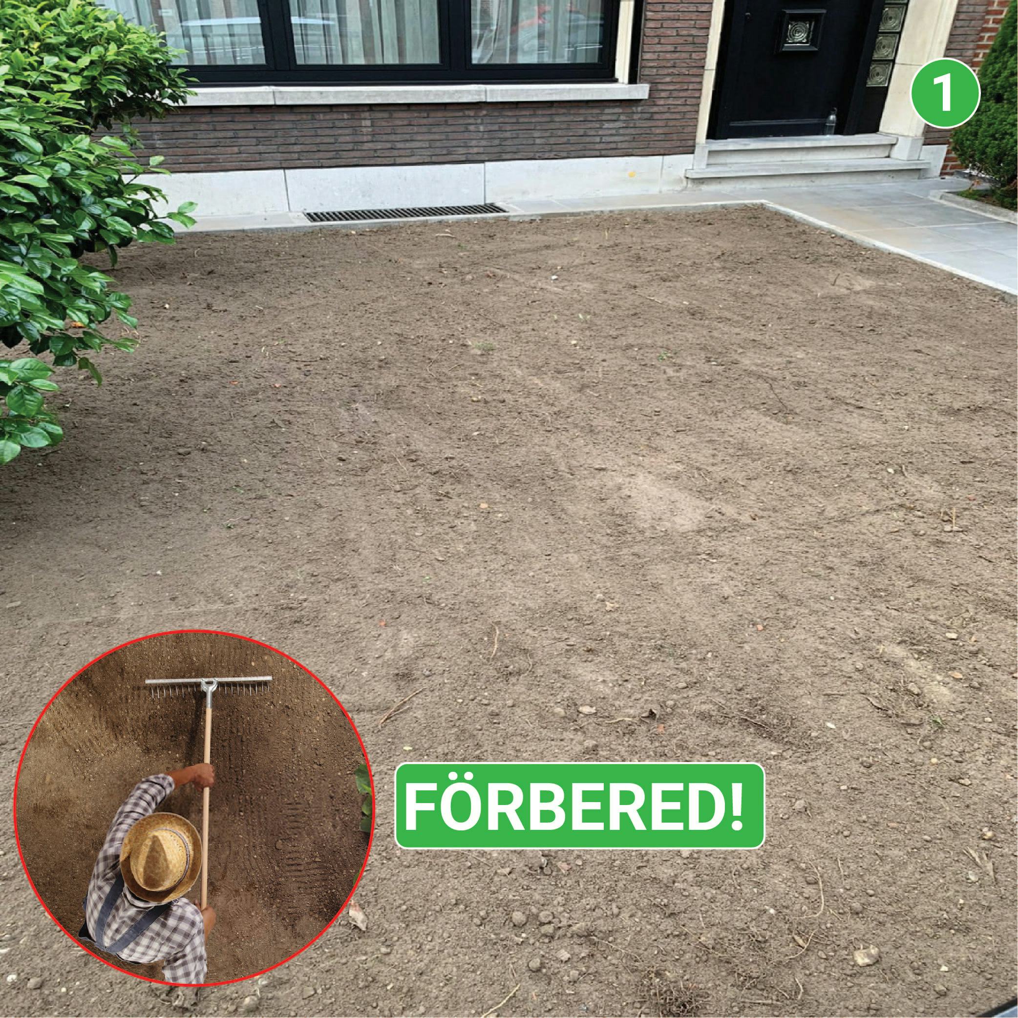 Trädgårdblommor Turfquick Blomfröer Blomsteräng Turfquick Fjäril & Humla 5 kvm