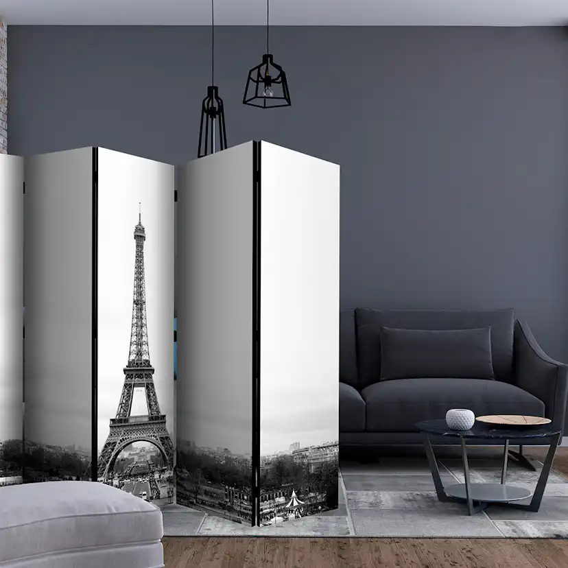 Rumsavdelare Arkiio Paris: Black And White Photography II 225x172 cm