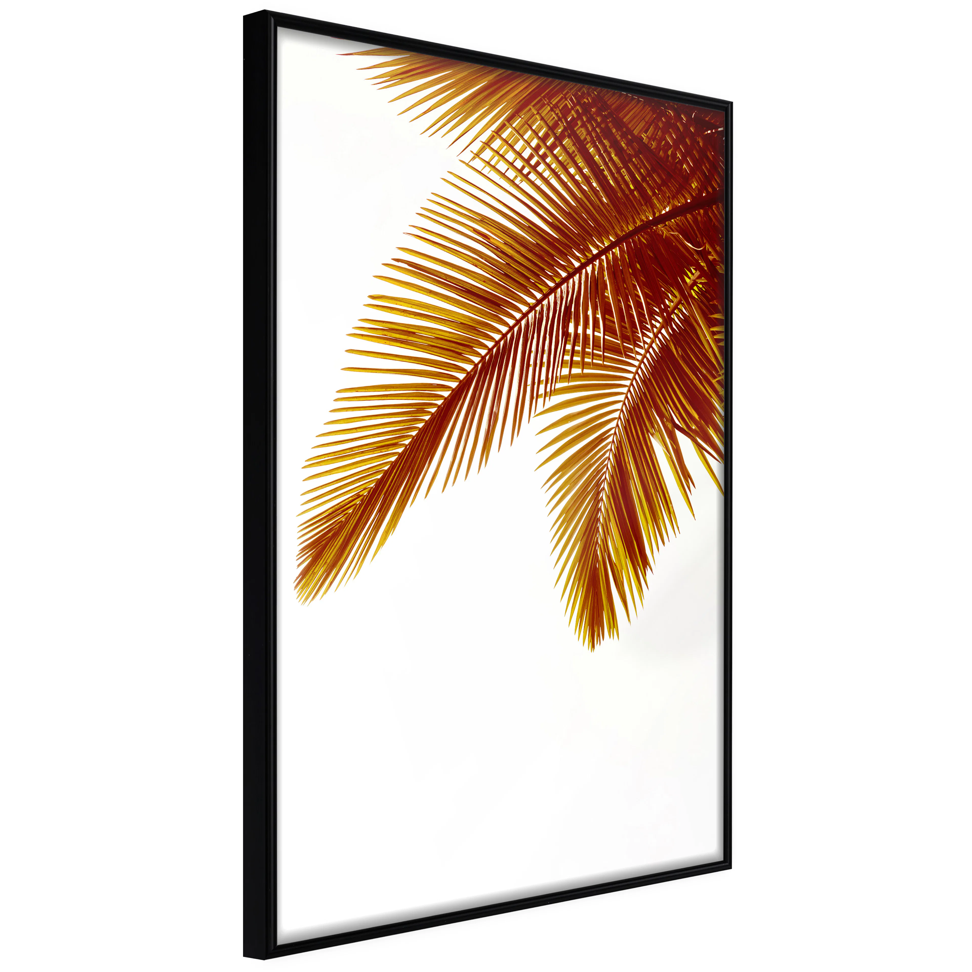 Affisch - Goldilocks [Poster] 40x60 Svart ram, 40x60 cm
