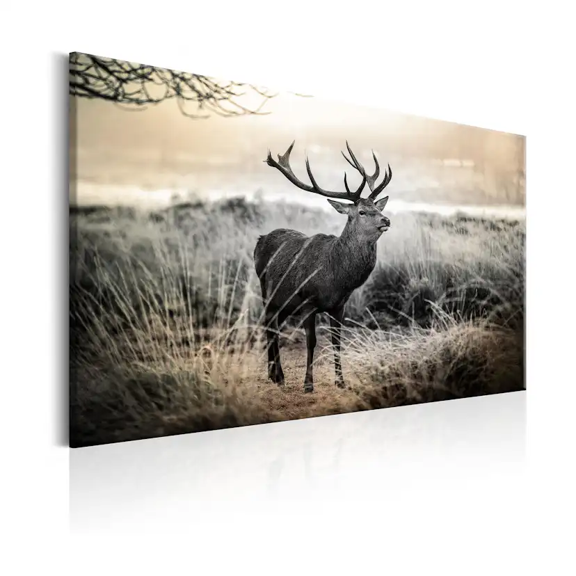 Tavla Arkiio Dangerous Horns