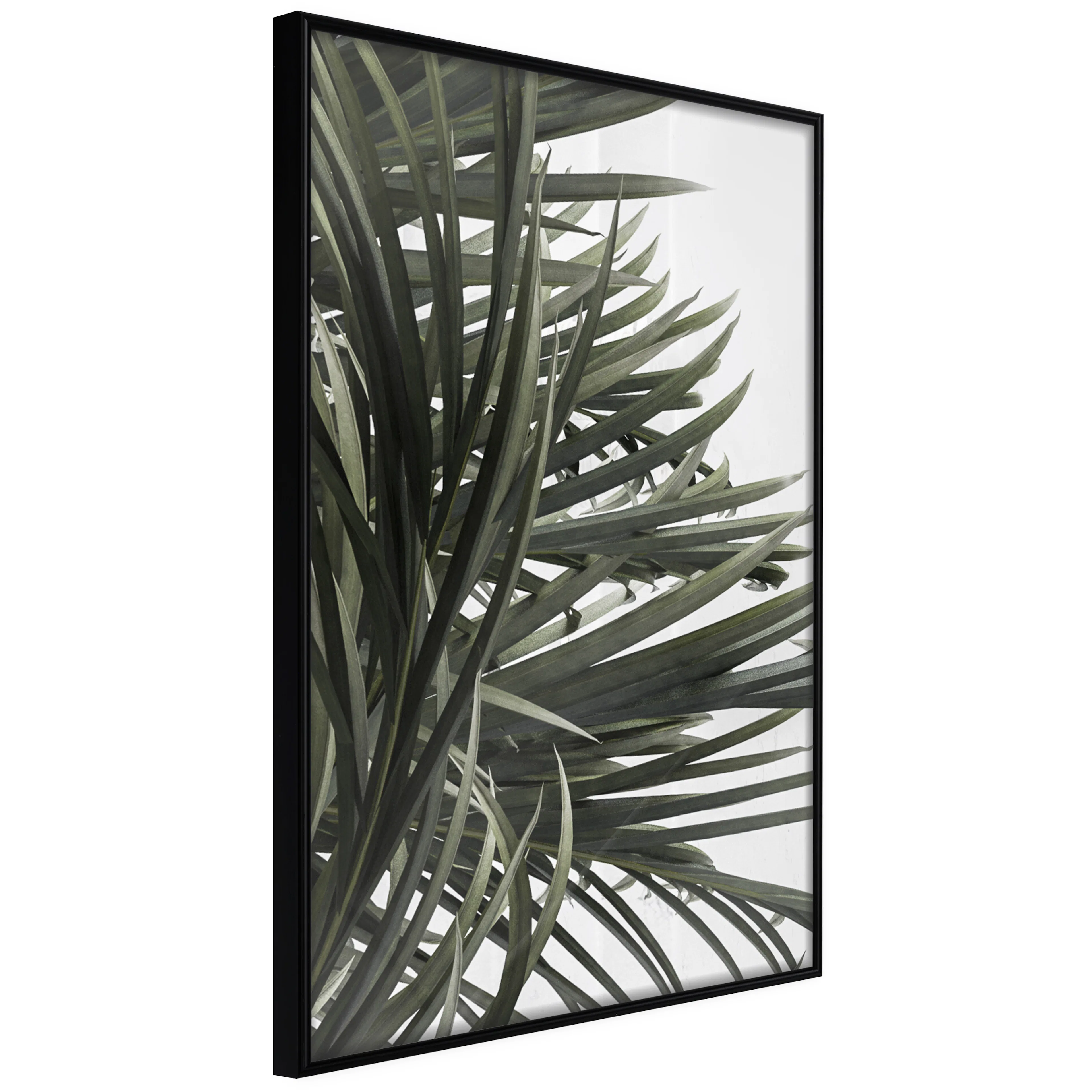 Affisch - In the Shade of Palm Trees [Poster] 40x60 Svart ram, 40x60 cm