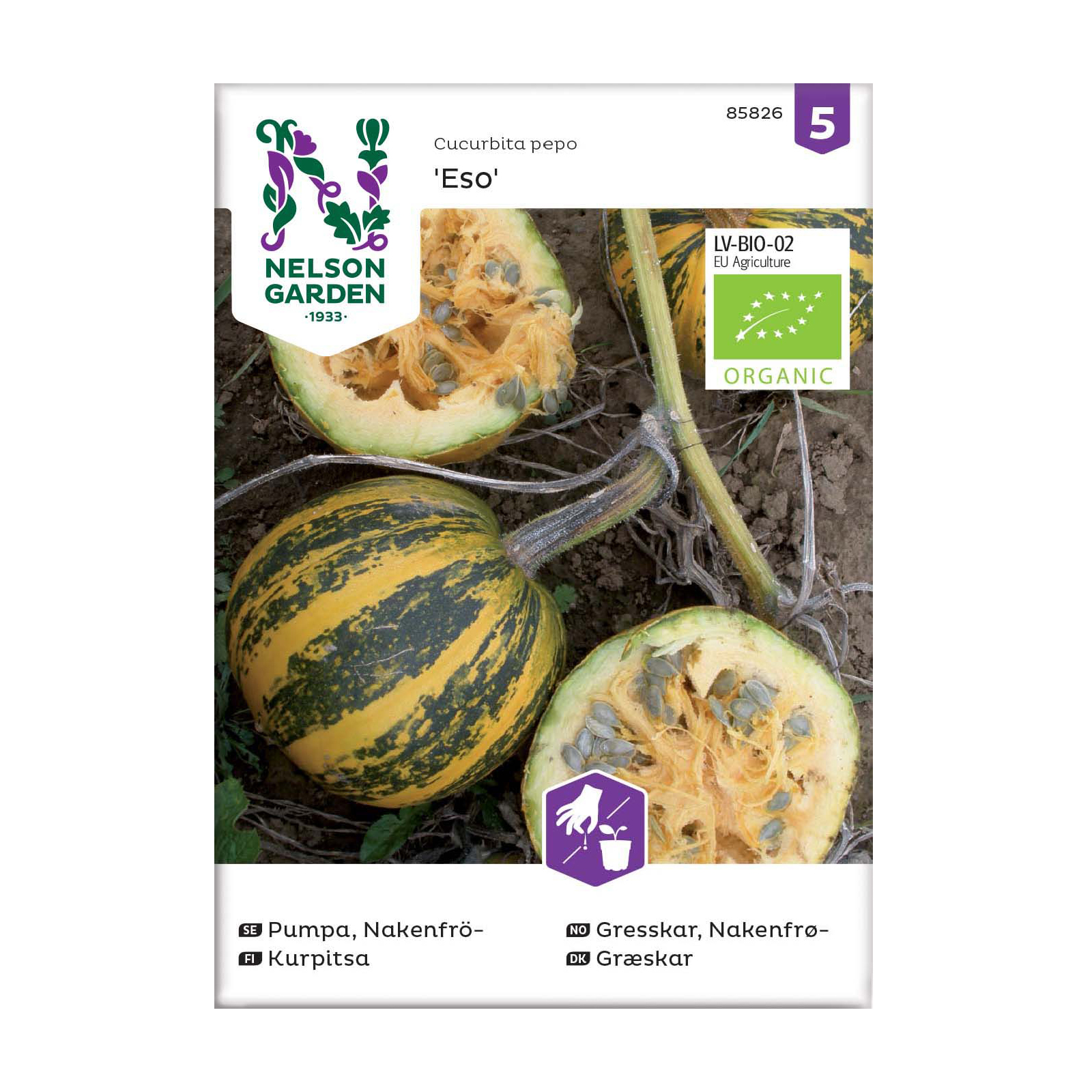 Frö Pumpa Nelson Garden Nakenfrö Eso Organic