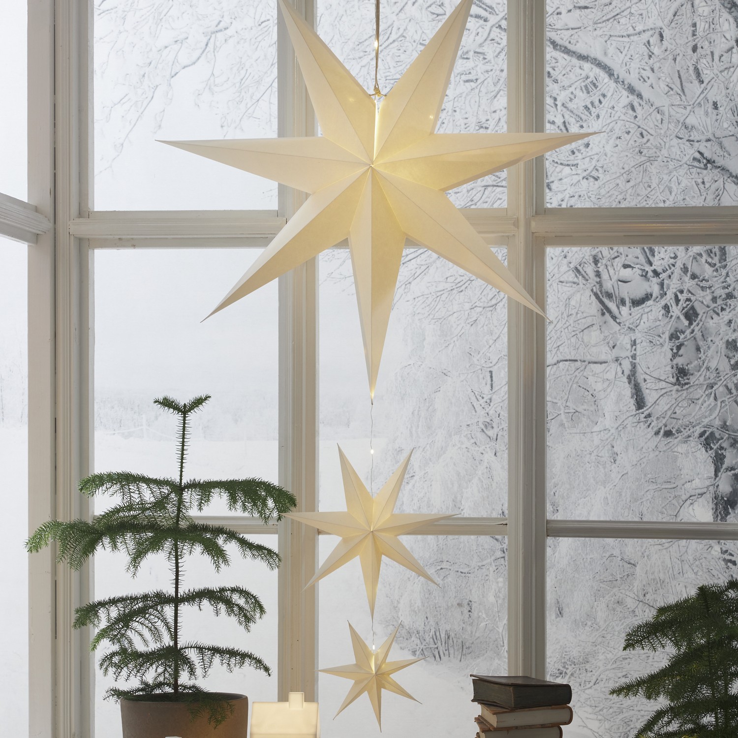 Pappersstjärna Star Trading Cassie