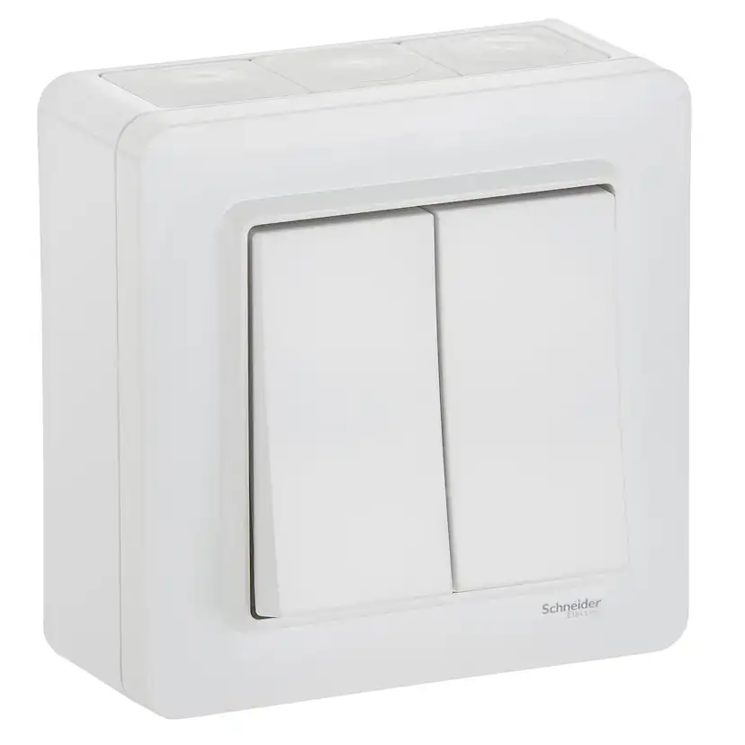 Strömbrytare Schneider Electric Exxact Kron IP44