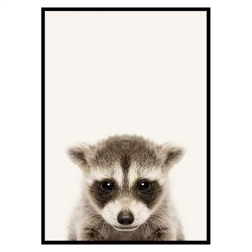 Poster Gallerix Baby Raccoon
