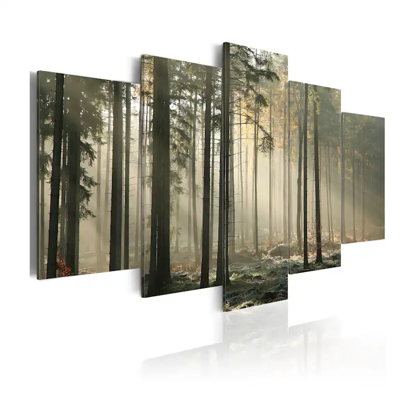 Tavla Arkiio Light In A Dark Forest