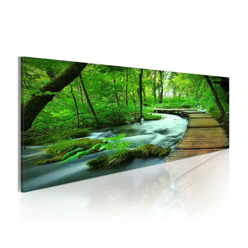 Tavla Arkiio Forest Broadwalk