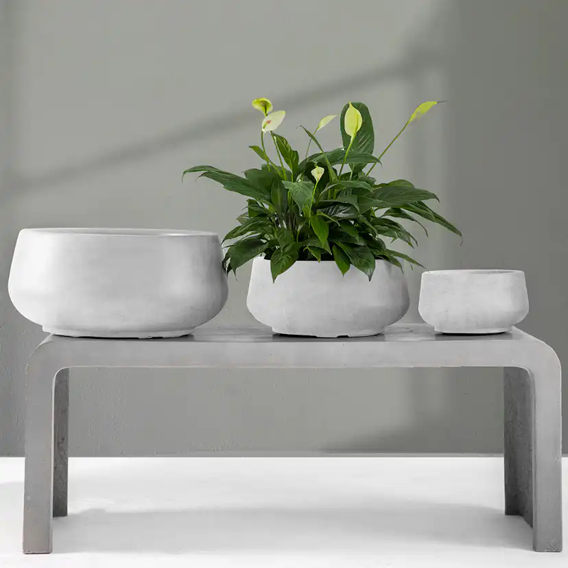 Kruka Lyfco Ytterkruka Rund Låg Ljusgrå 3-pack