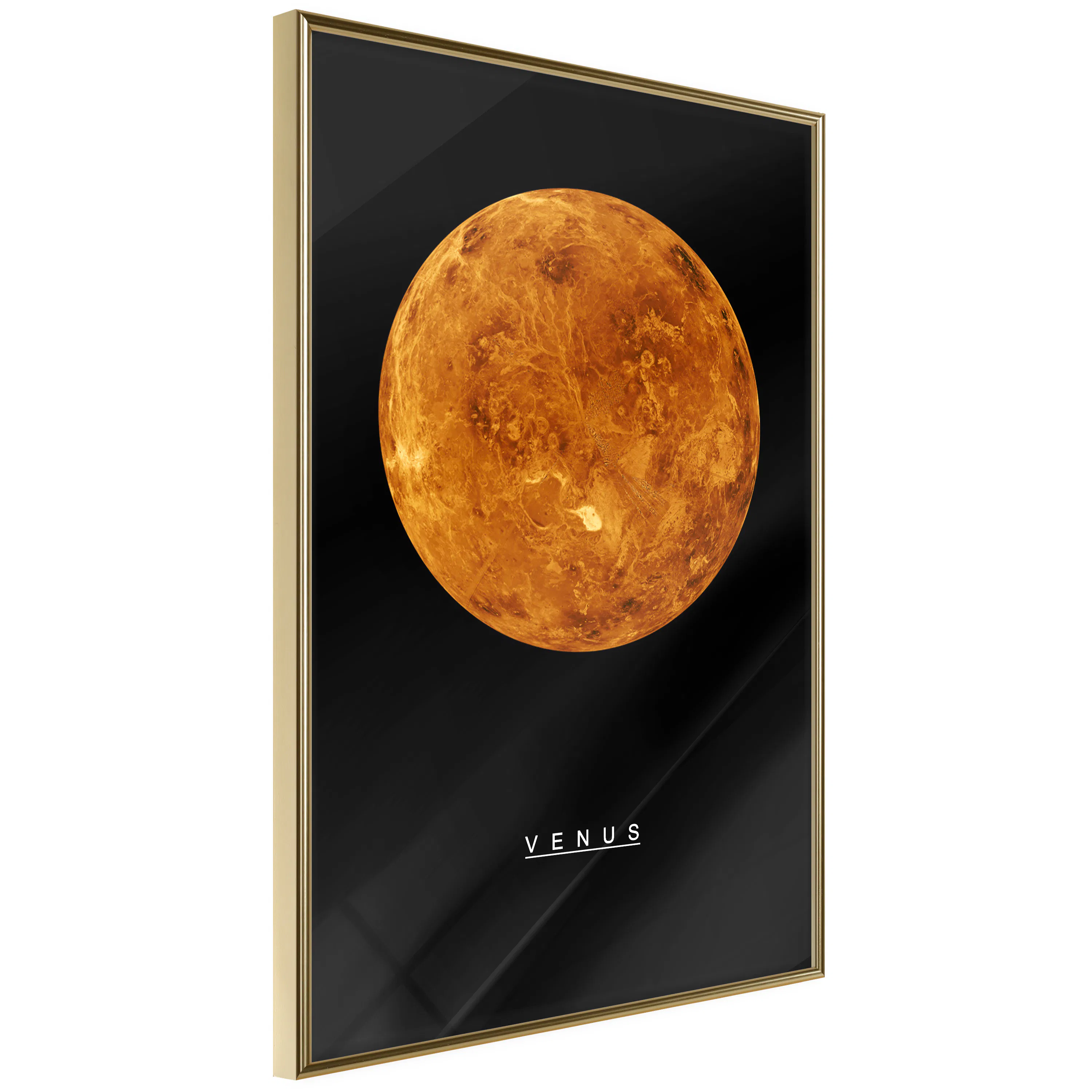 Poster Artgeist Affisch Venus