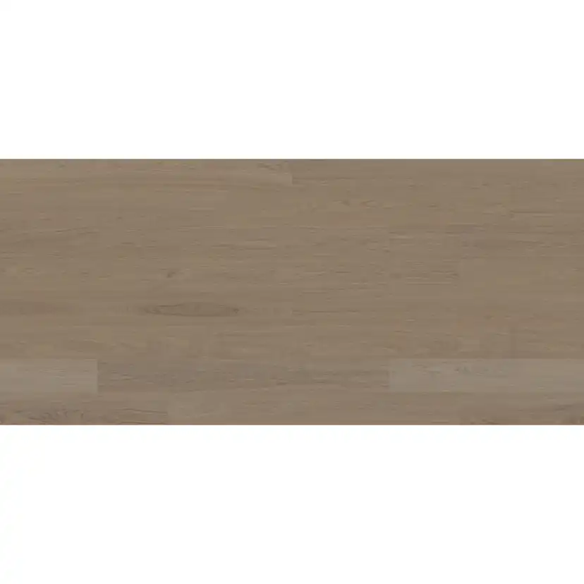 GRYBY 3.0 XXL