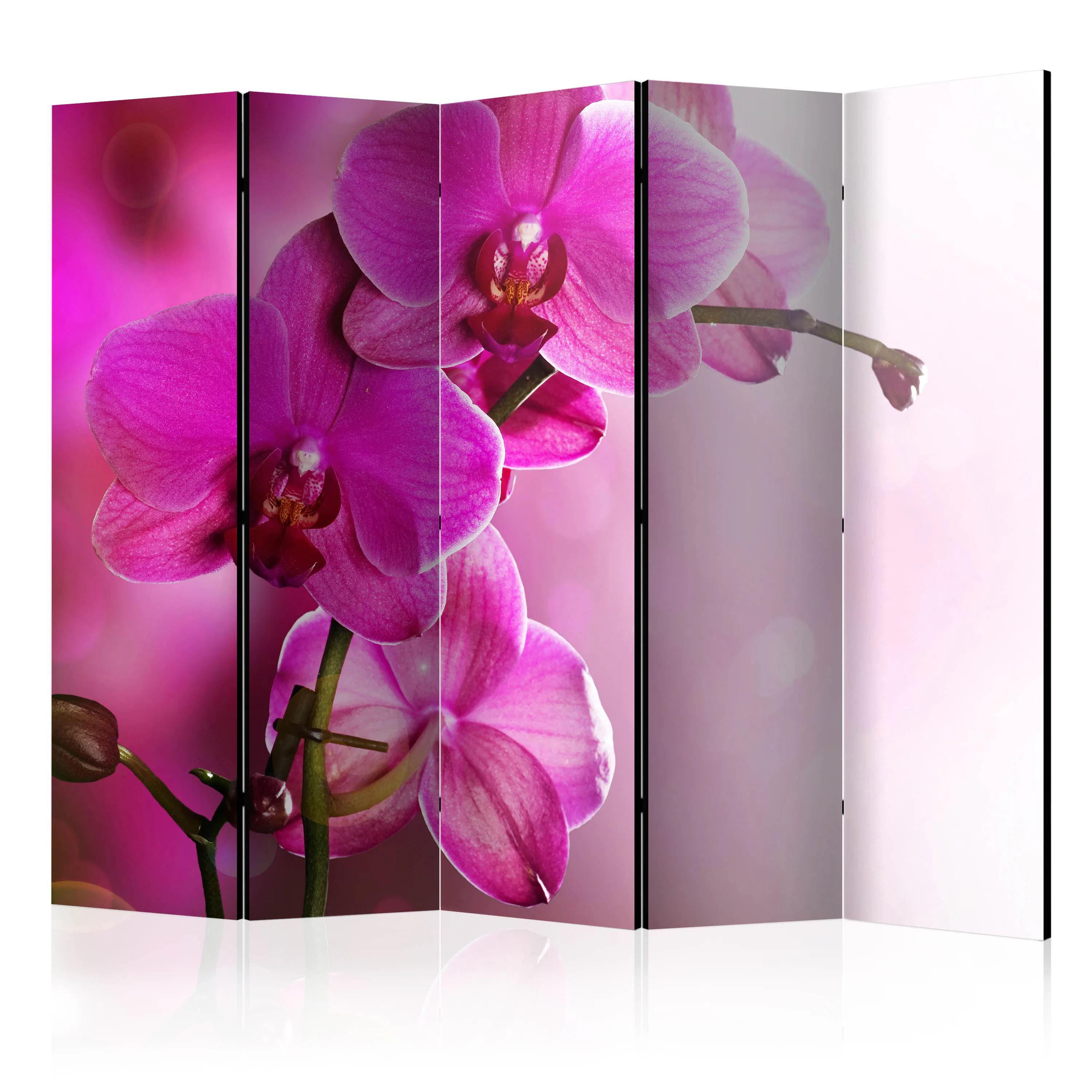 Rumsavdelare Arkiio Pink Orchid II 225x172 cm