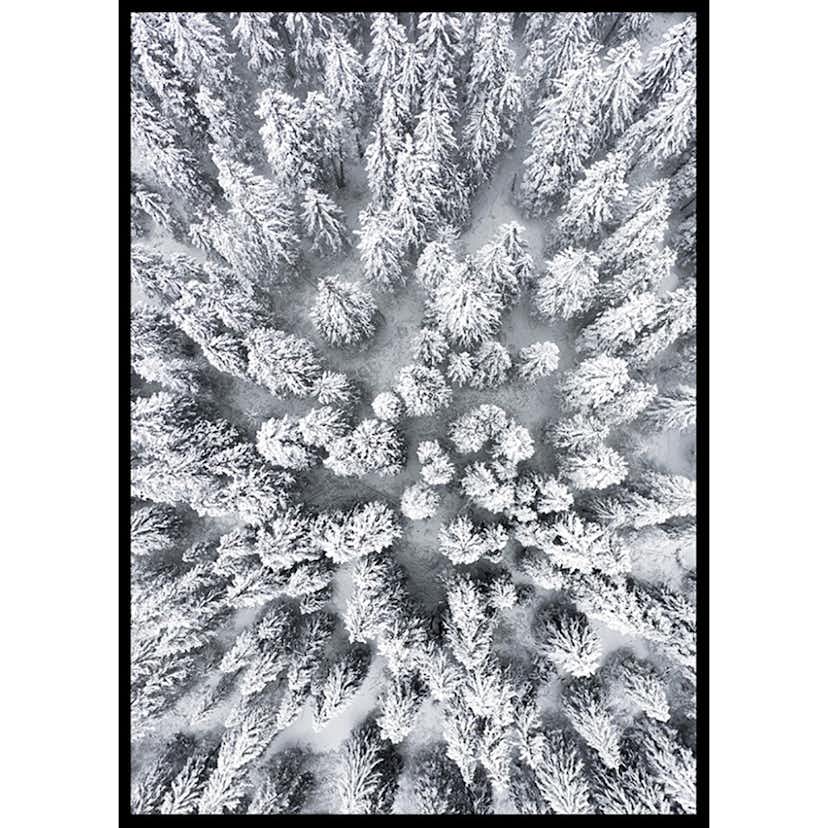Poster Gallerix Snow Forest Aerial