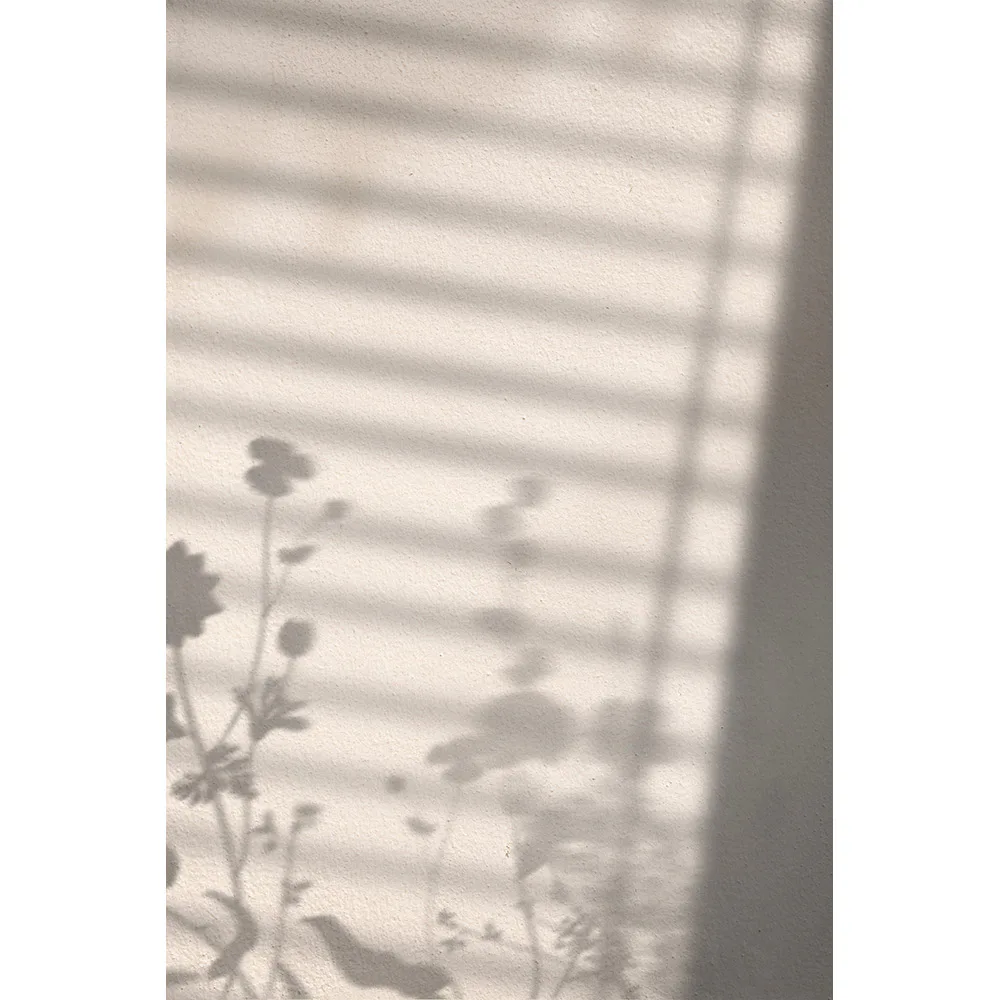 Posters Venture Home Flower Shadow Vit