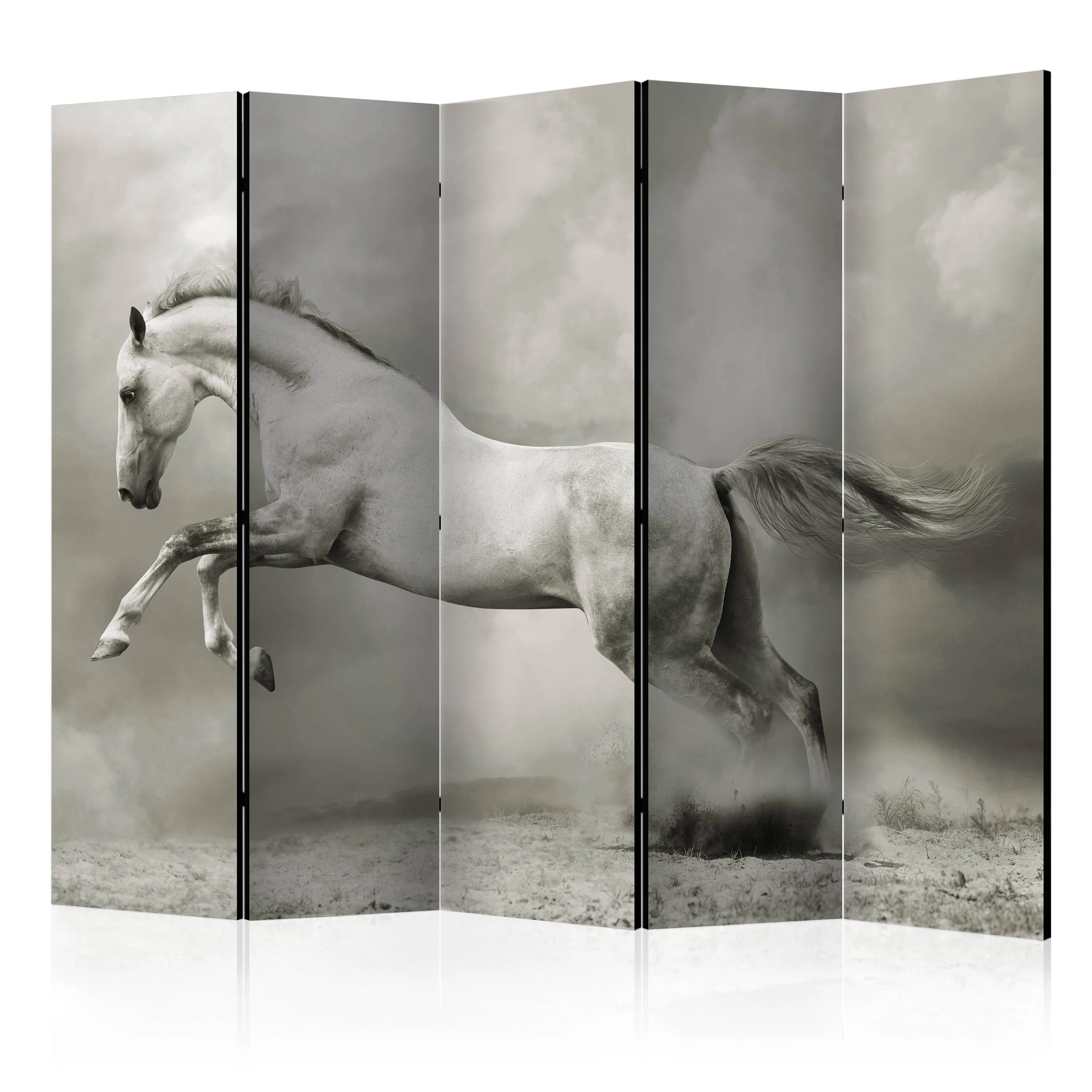 Rumsavdelare Arkiio Wild Stallion II 225x172 cm
