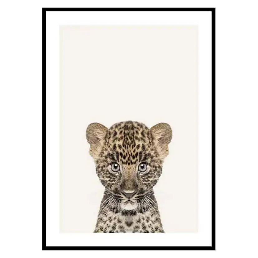 Poster Gallerix Baby Leopard