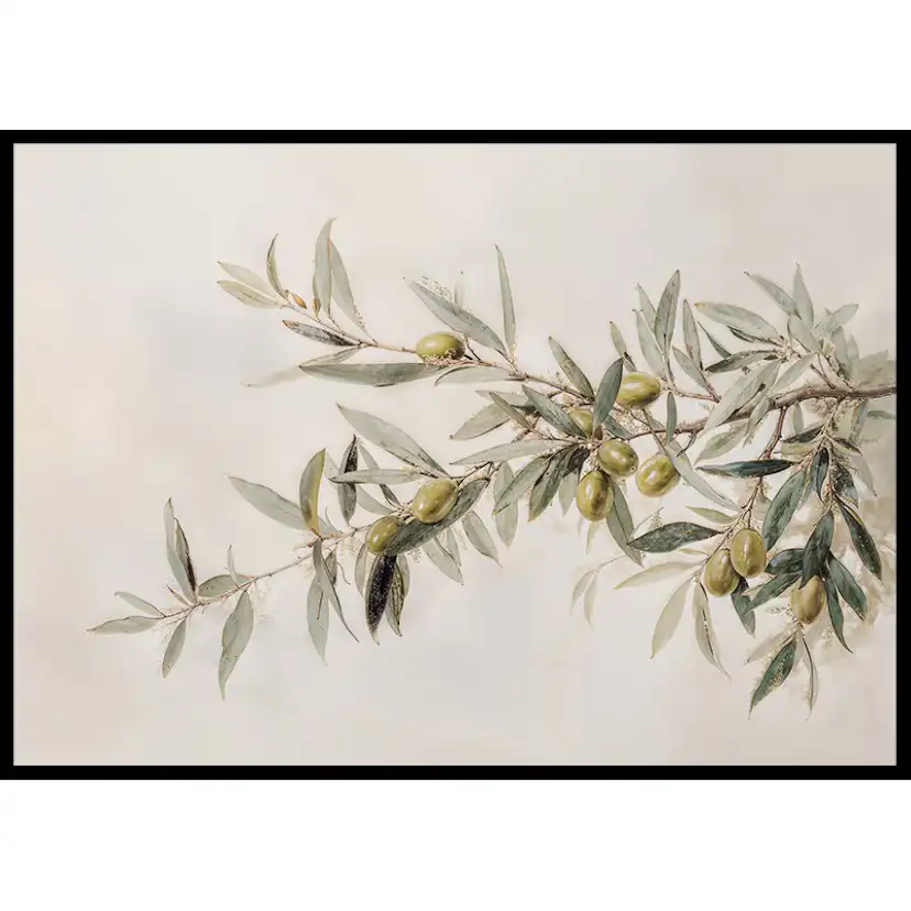 Poster Gallerix Olive Branch Aquarelle