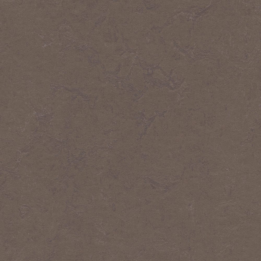 Linoleumgolv Forbo Marmoleum Click Delta Lace 30x30cm med Klicksystem