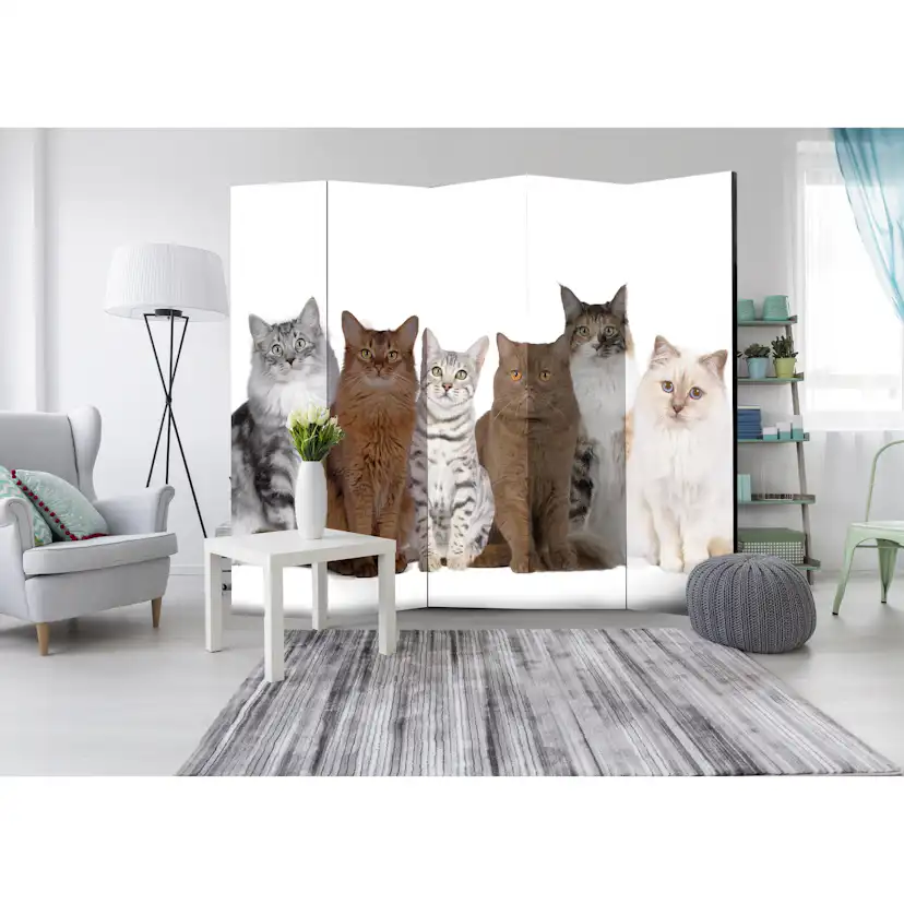 Rumsavdelare Arkiio Sweet Cats II 225x172 cm