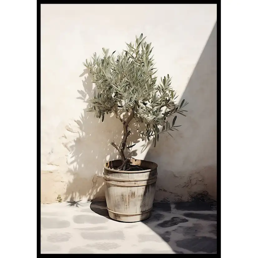 Poster Gallerix Olive Tree Mediterranean No2