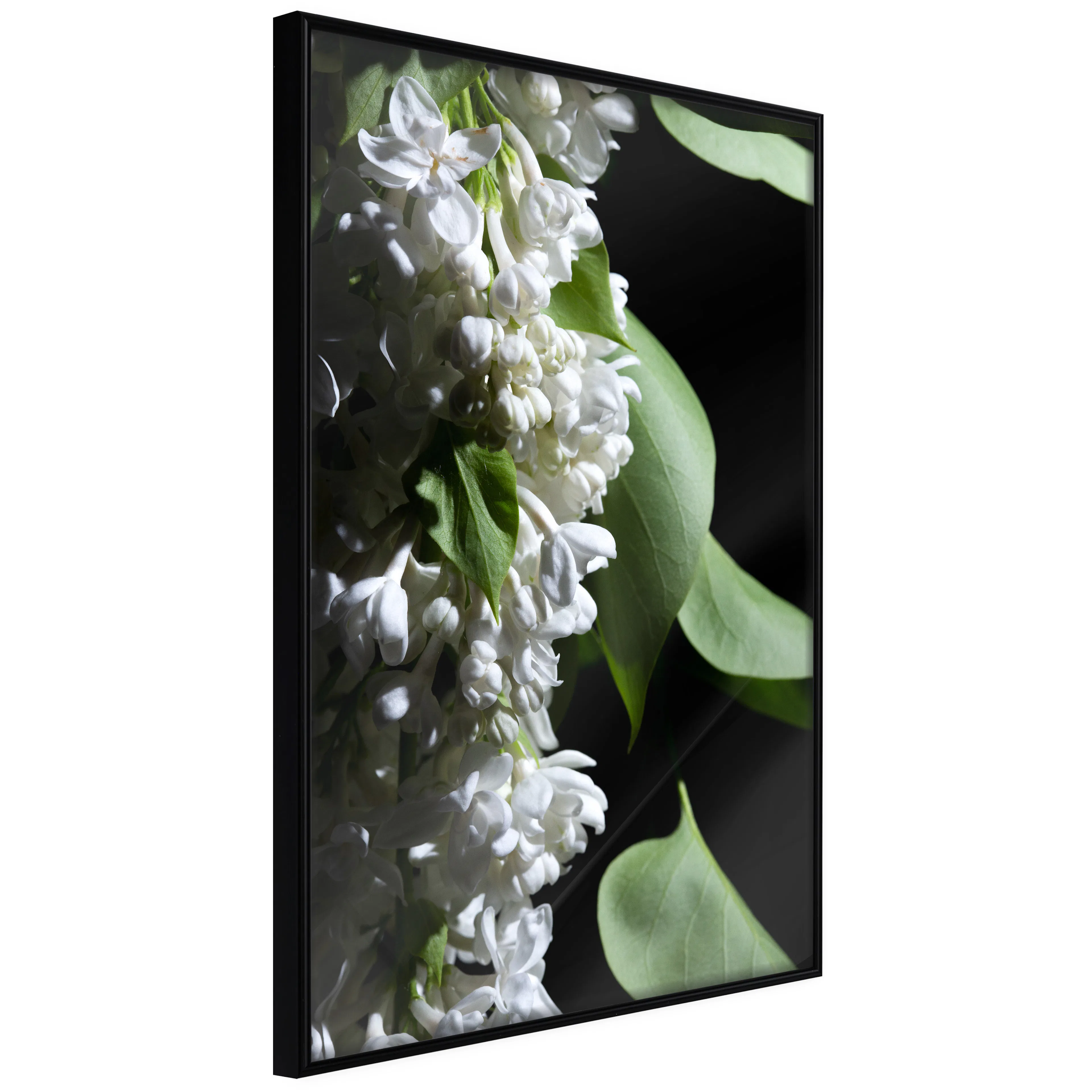 Affisch - Lilacs Detail [Poster] 40x60 Svart ram, 40x60 cm