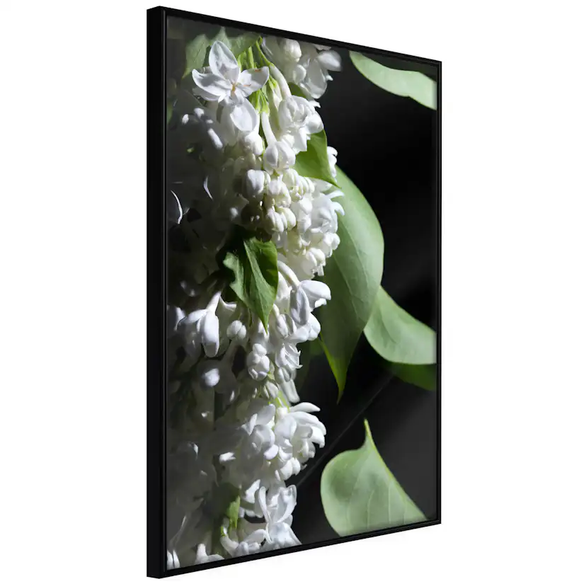 Poster Artgeist Affisch Lilacs Detail