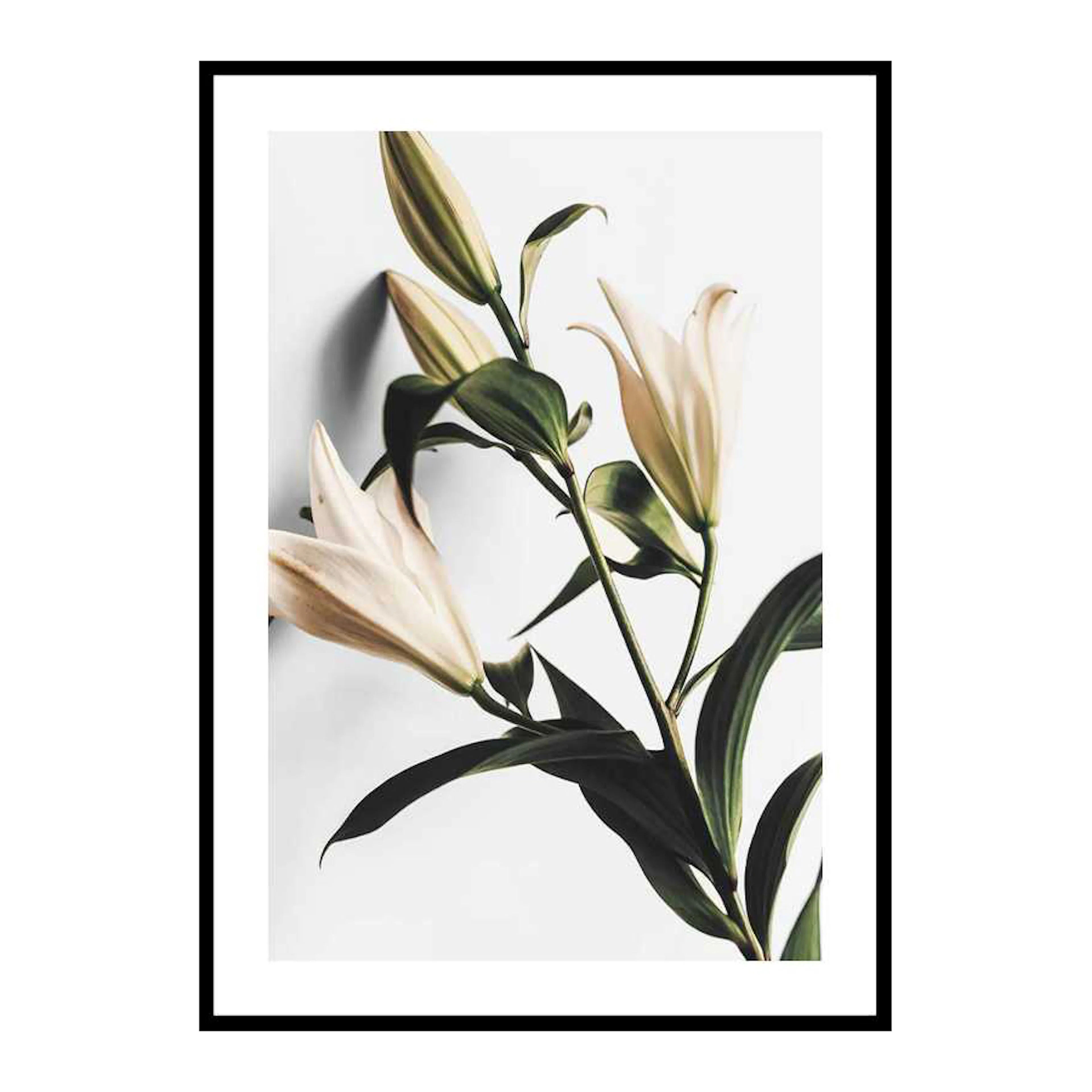 Poster Gallerix Lilies