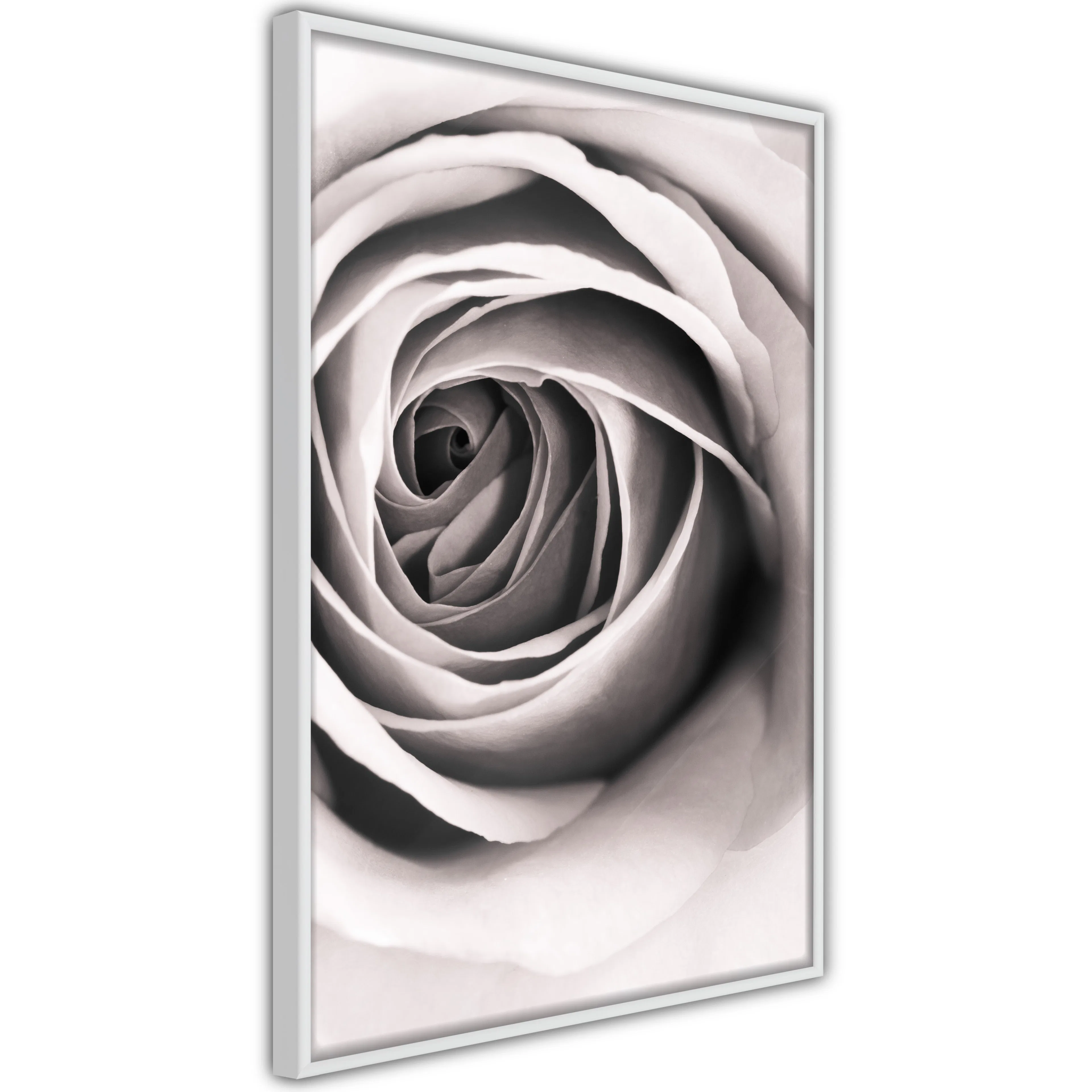 Poster Artgeist Affisch Rose Vortex