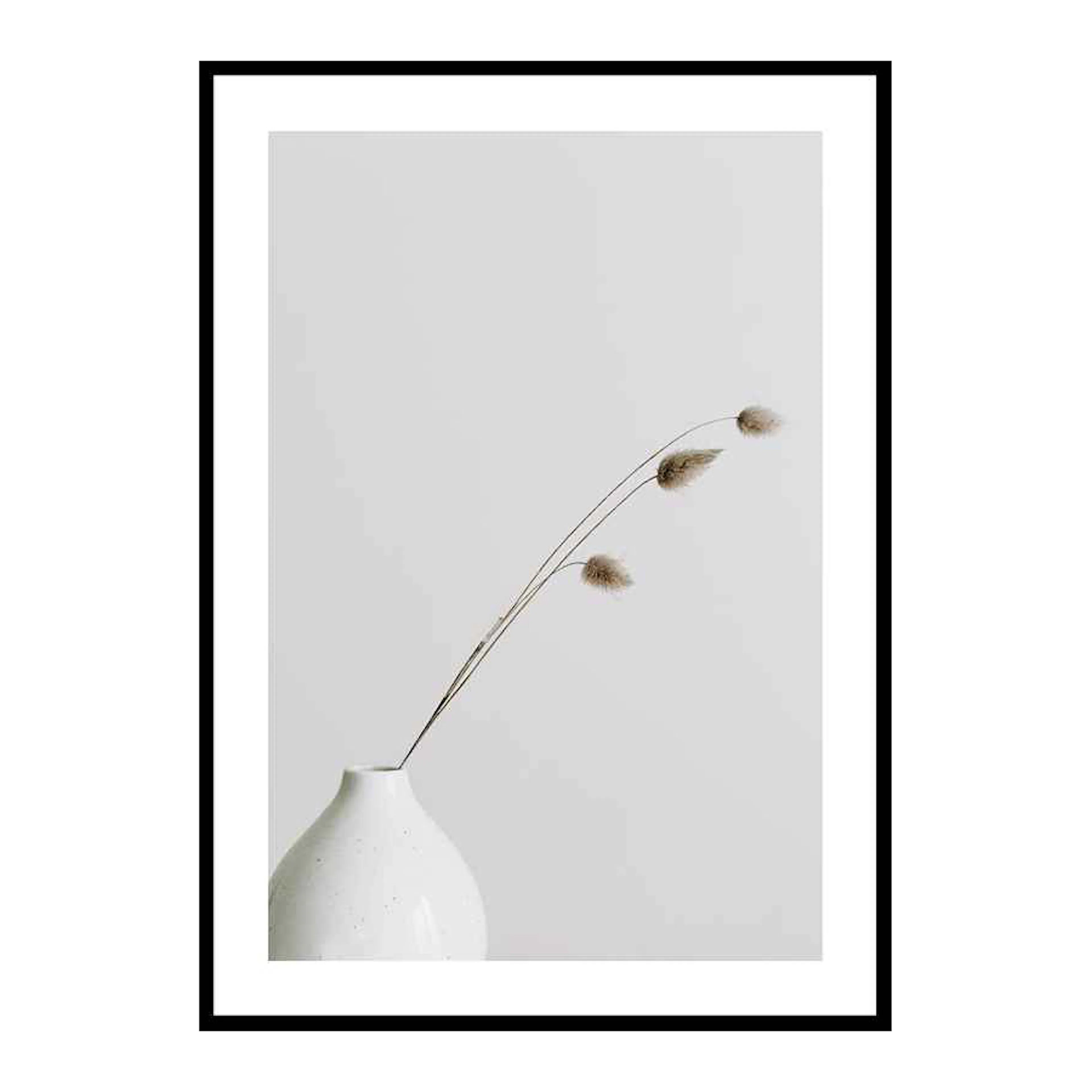 Poster Gallerix Dried Flower White Vase