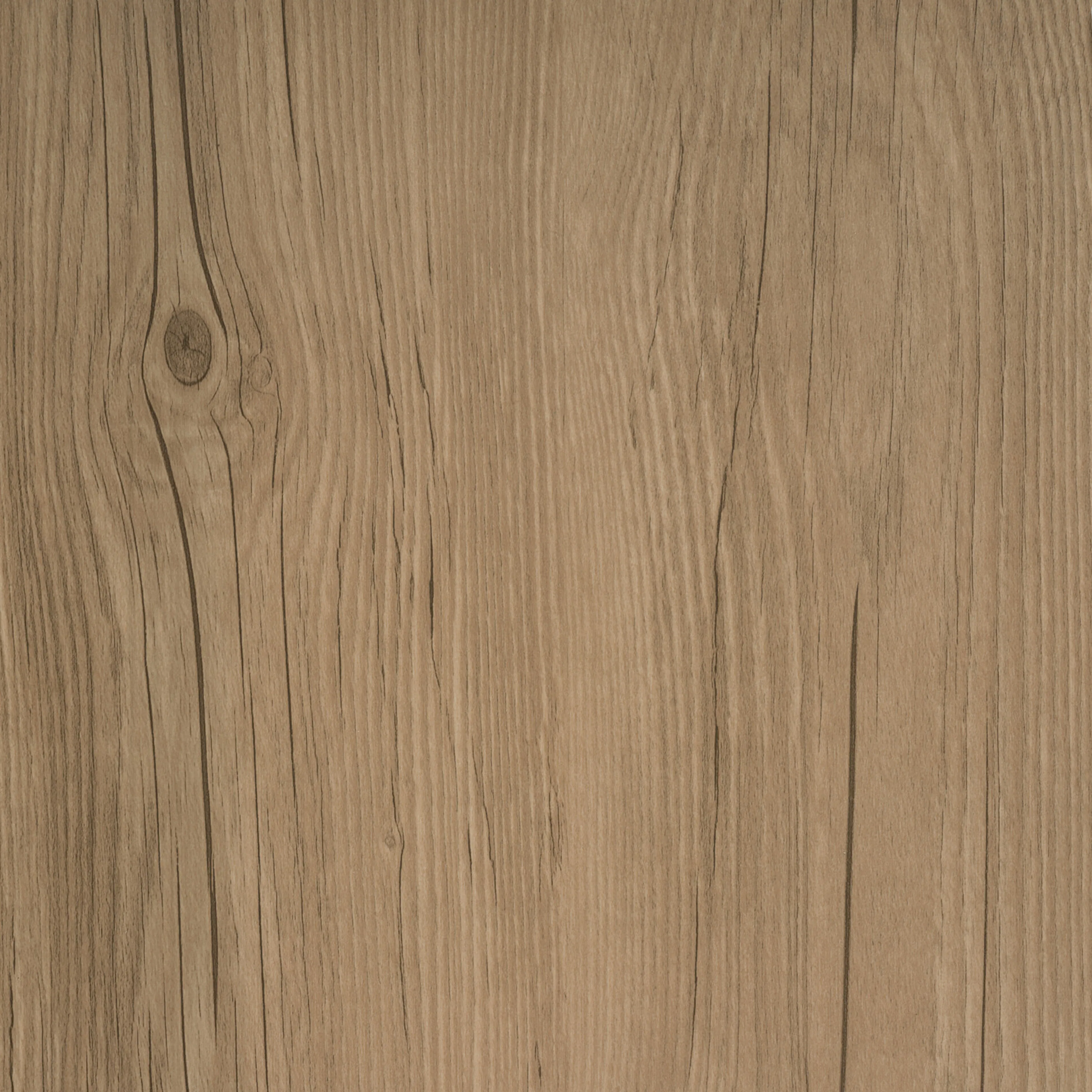 Dark Oak