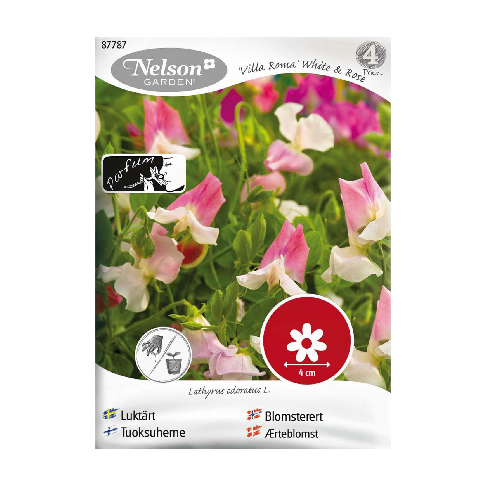 Frö Luktärt Nelson Garden Villa Roma White & Rose