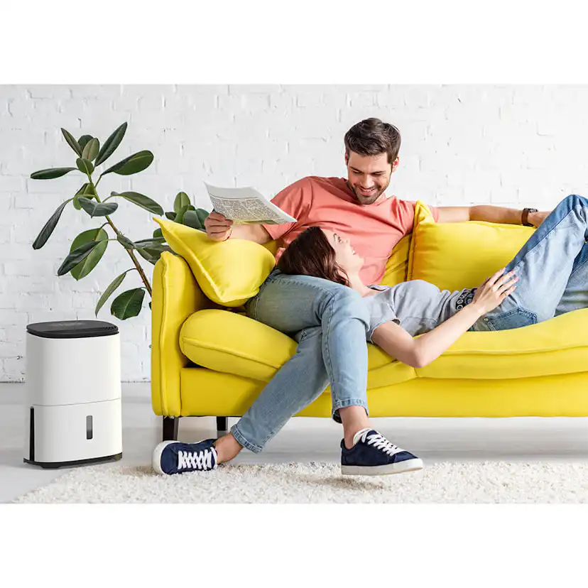 Avfuktare och Luftrenare Meaco MeacoDry Arete One 10L